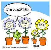 Yo no soy gente, soy adoptada