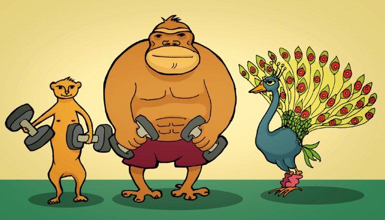 Yo no soy gente, animales de gimnasio, historias reales, mundo surrealista