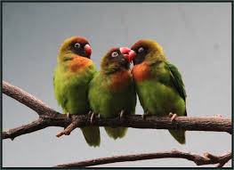 Yo no soy gente, historias reales, mundo surrealista, Hoy hablamos de sexo, fantasias sexuales 490