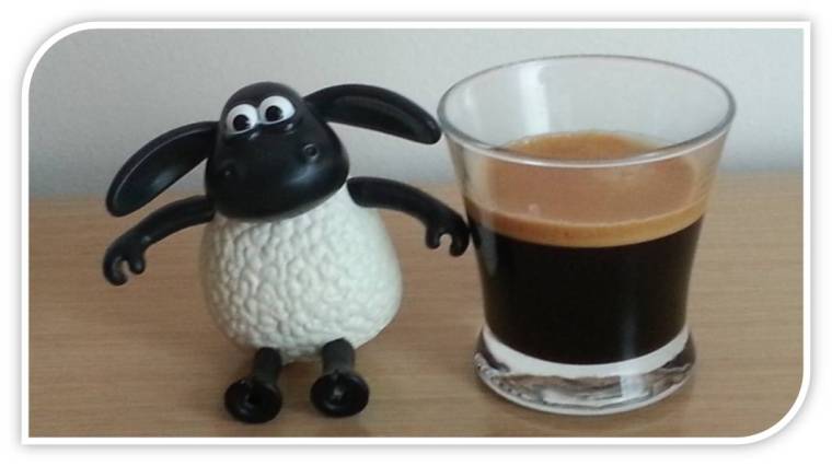 Yo no soy gente - primer aniversario