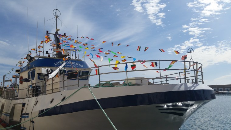 Yo no soy gente, historias reales, mundo surrealista, Turistadas de verano