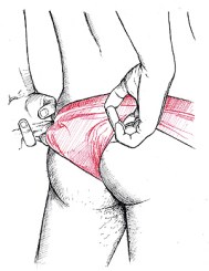 Yo no soy gente, historias reales, mundo surrealista, culo veo culo quiero