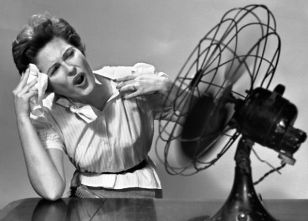 Yop no soy gente, historias reales, mundo surrealista, bienvenido julio, Welcome july, operación biquini, evaluación continua, dietas, veranito, pescaíto.